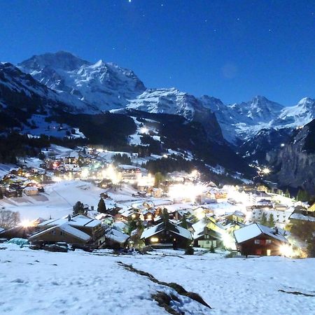 Chalet Alpina Gyger Wengen Dış mekan fotoğraf