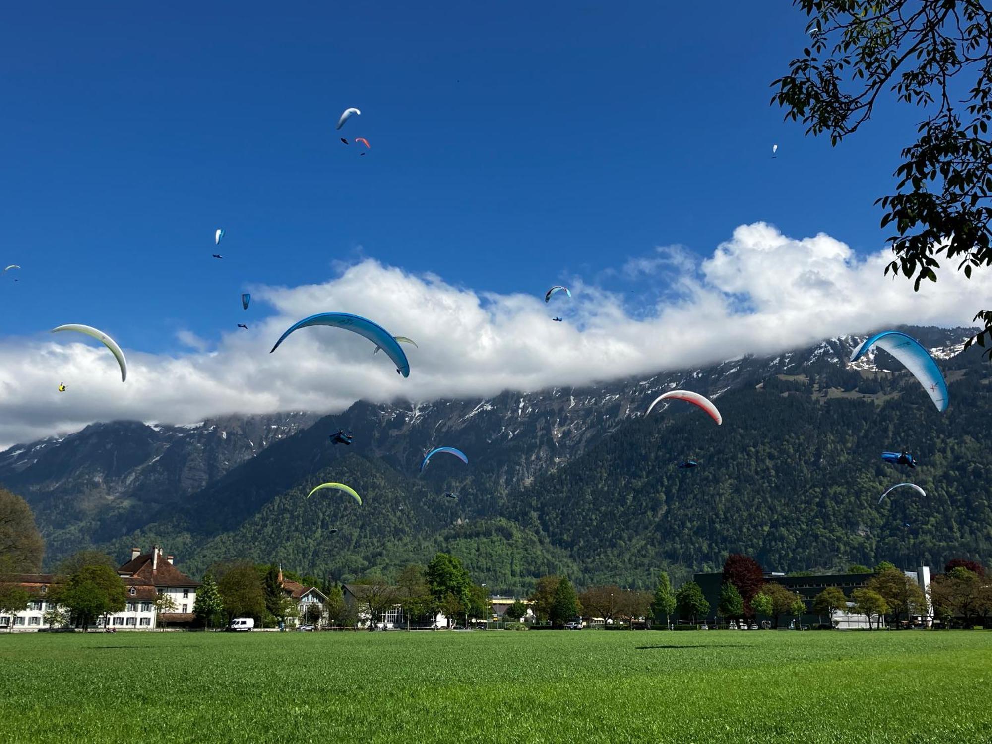 Chalet Alpina Gyger Wengen Dış mekan fotoğraf