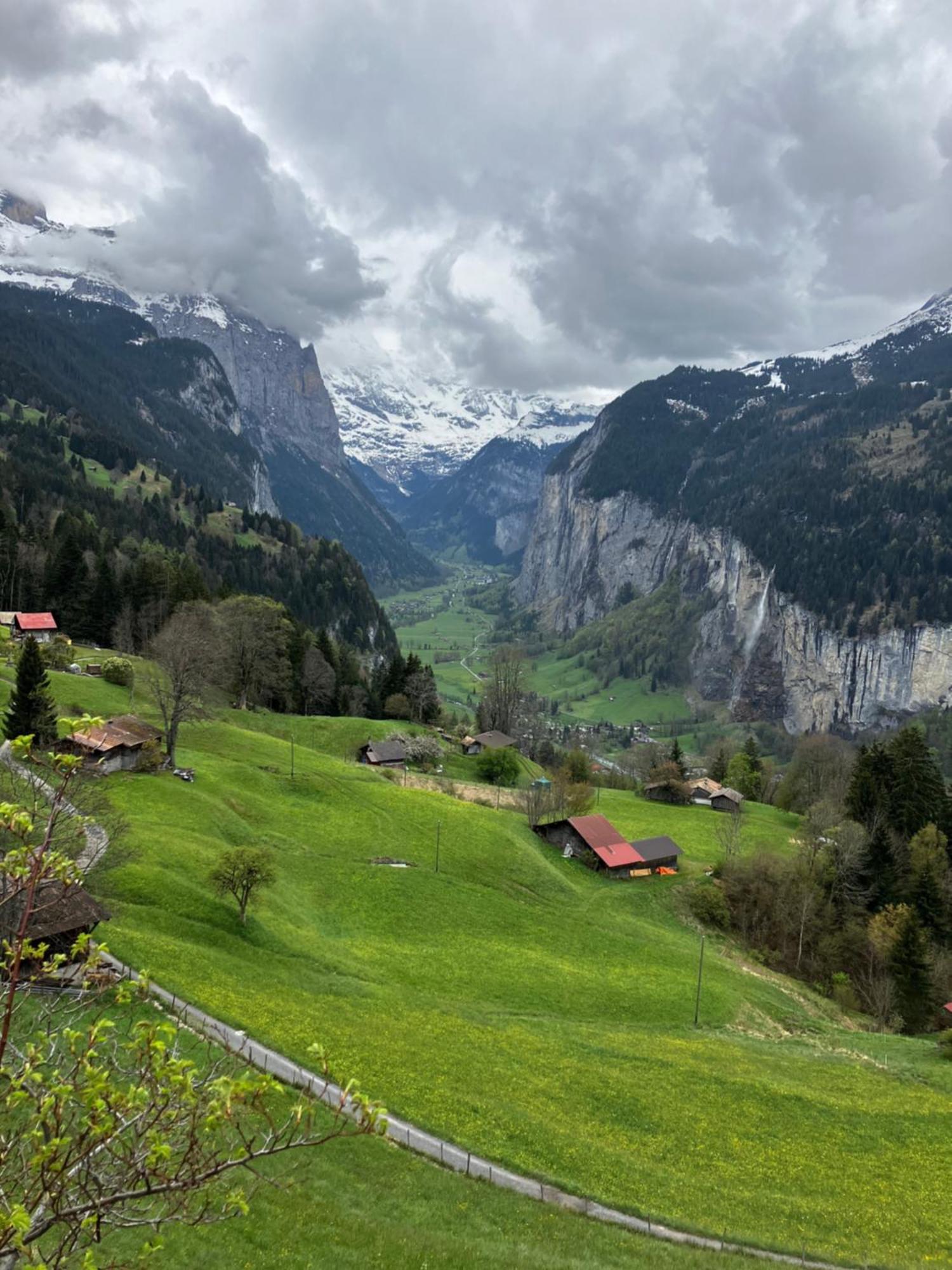 Chalet Alpina Gyger Wengen Dış mekan fotoğraf
