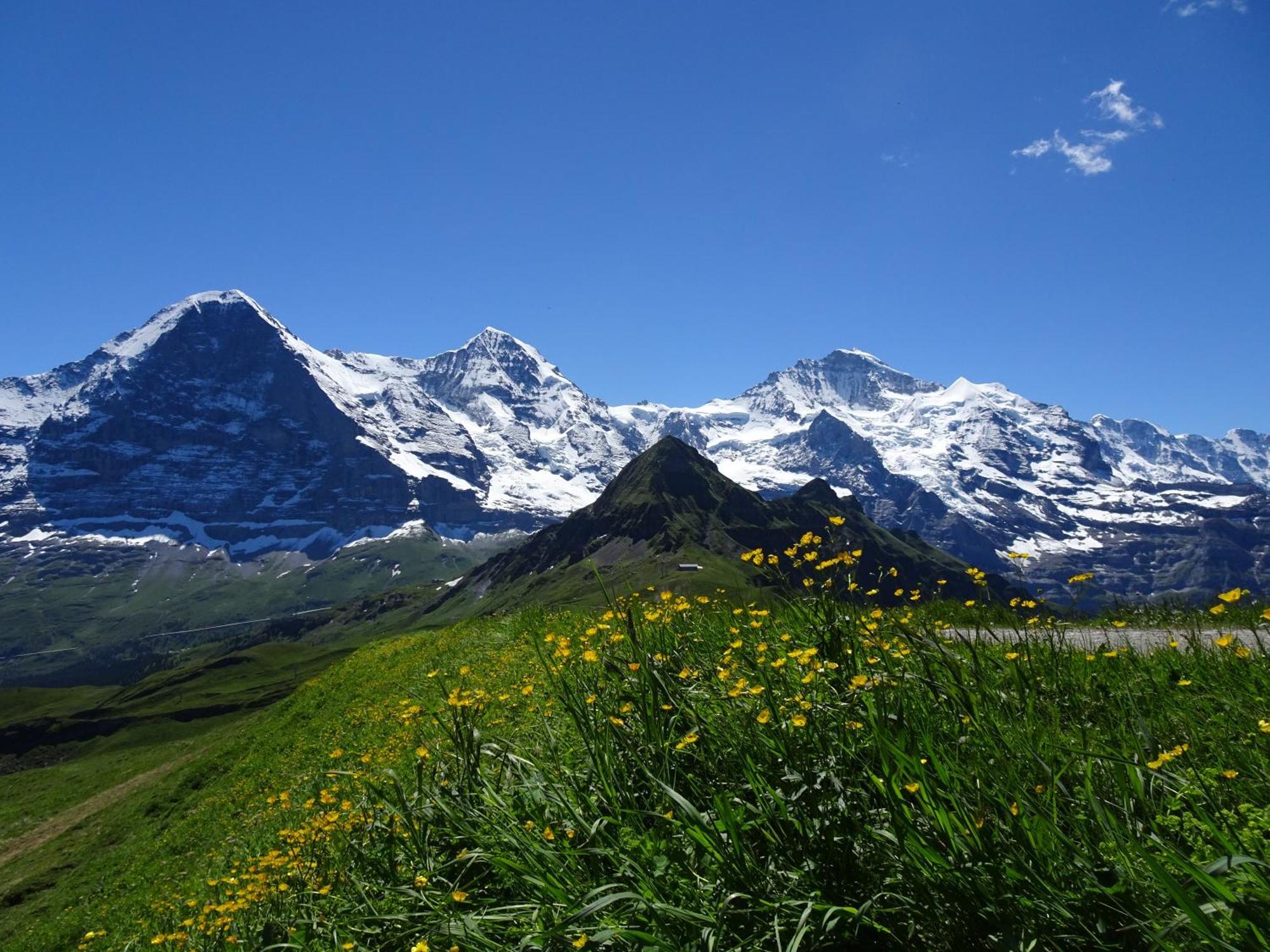 Chalet Alpina Gyger Wengen Dış mekan fotoğraf