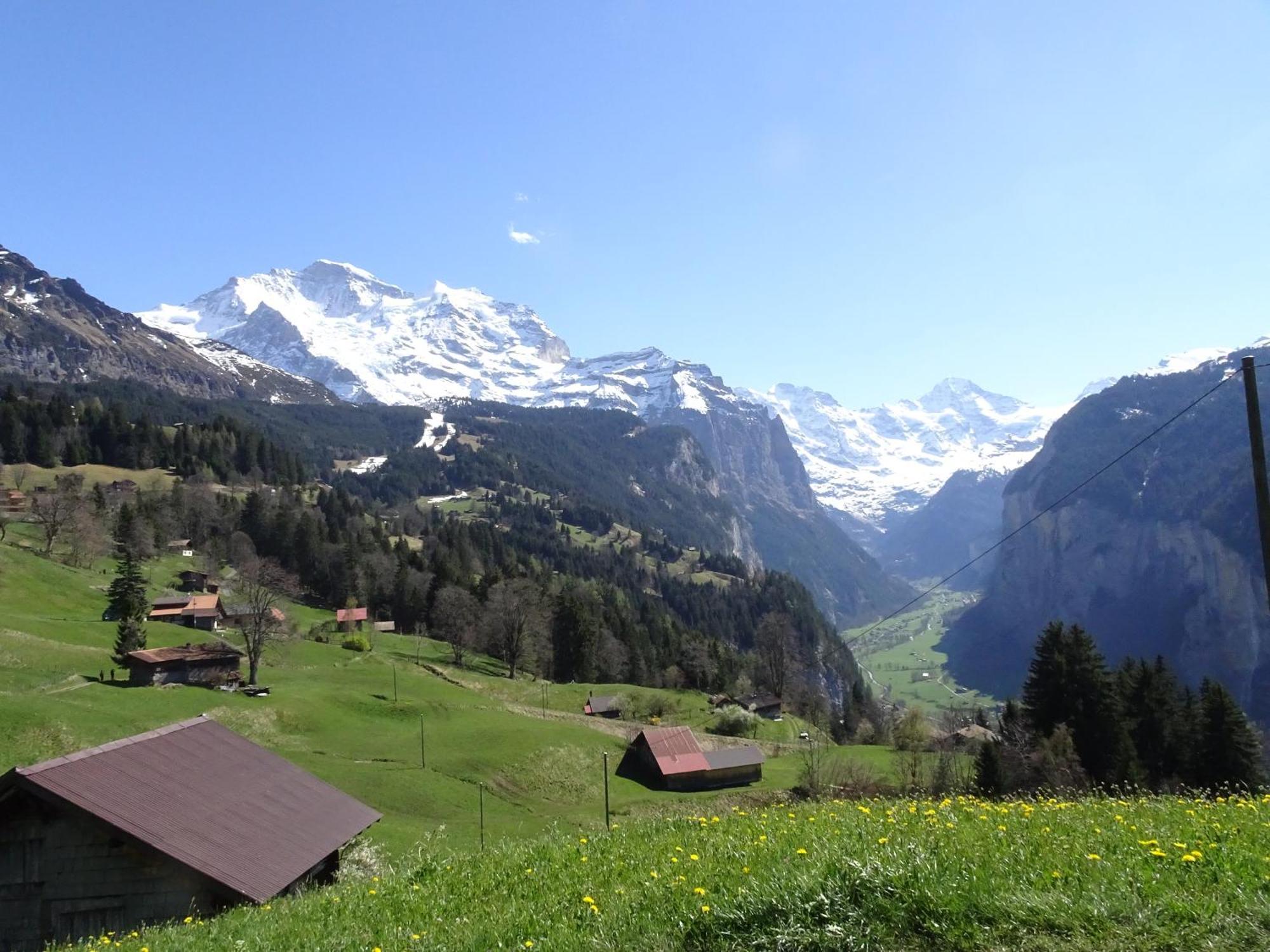 Chalet Alpina Gyger Wengen Dış mekan fotoğraf