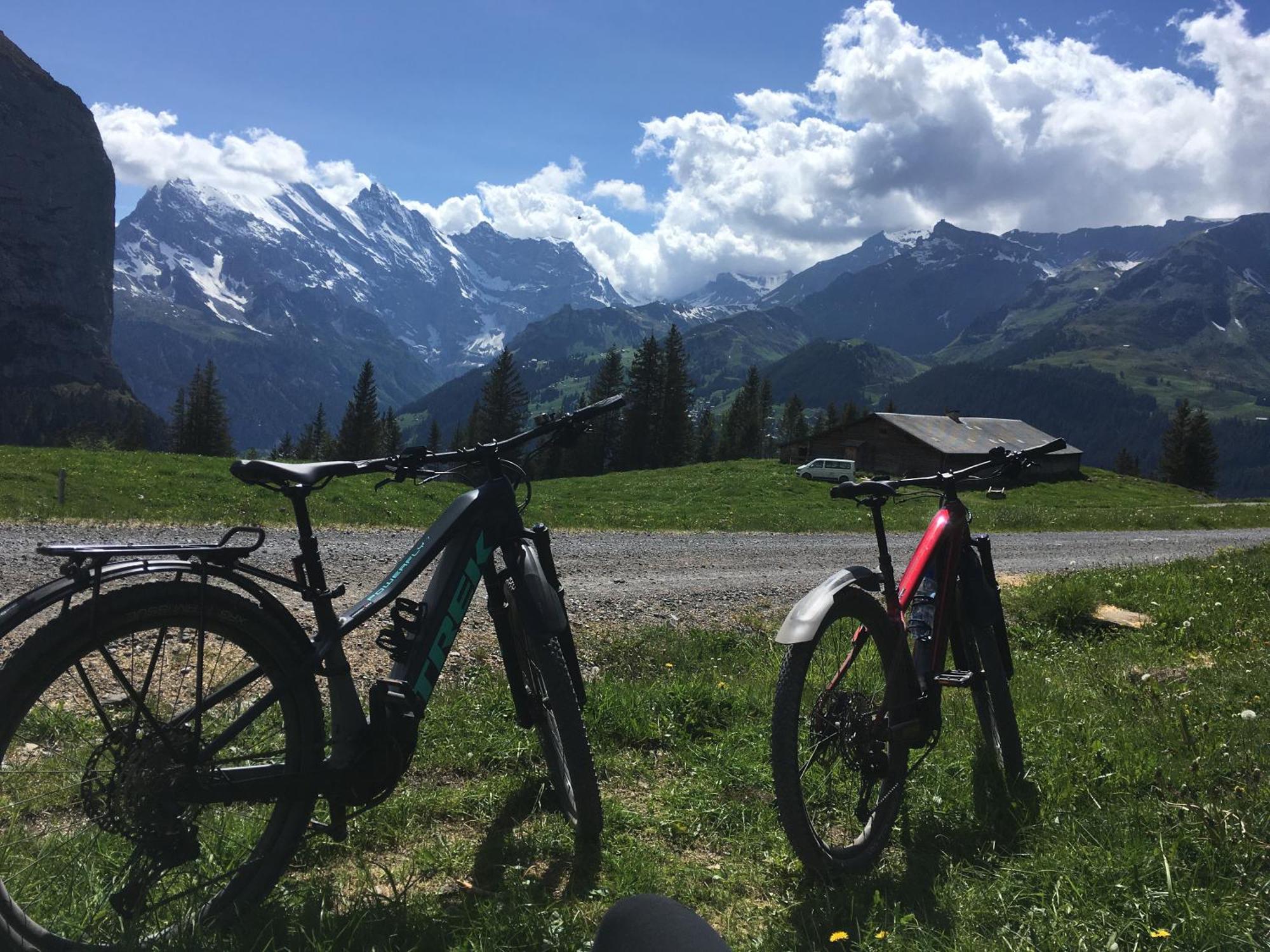 Chalet Alpina Gyger Wengen Dış mekan fotoğraf