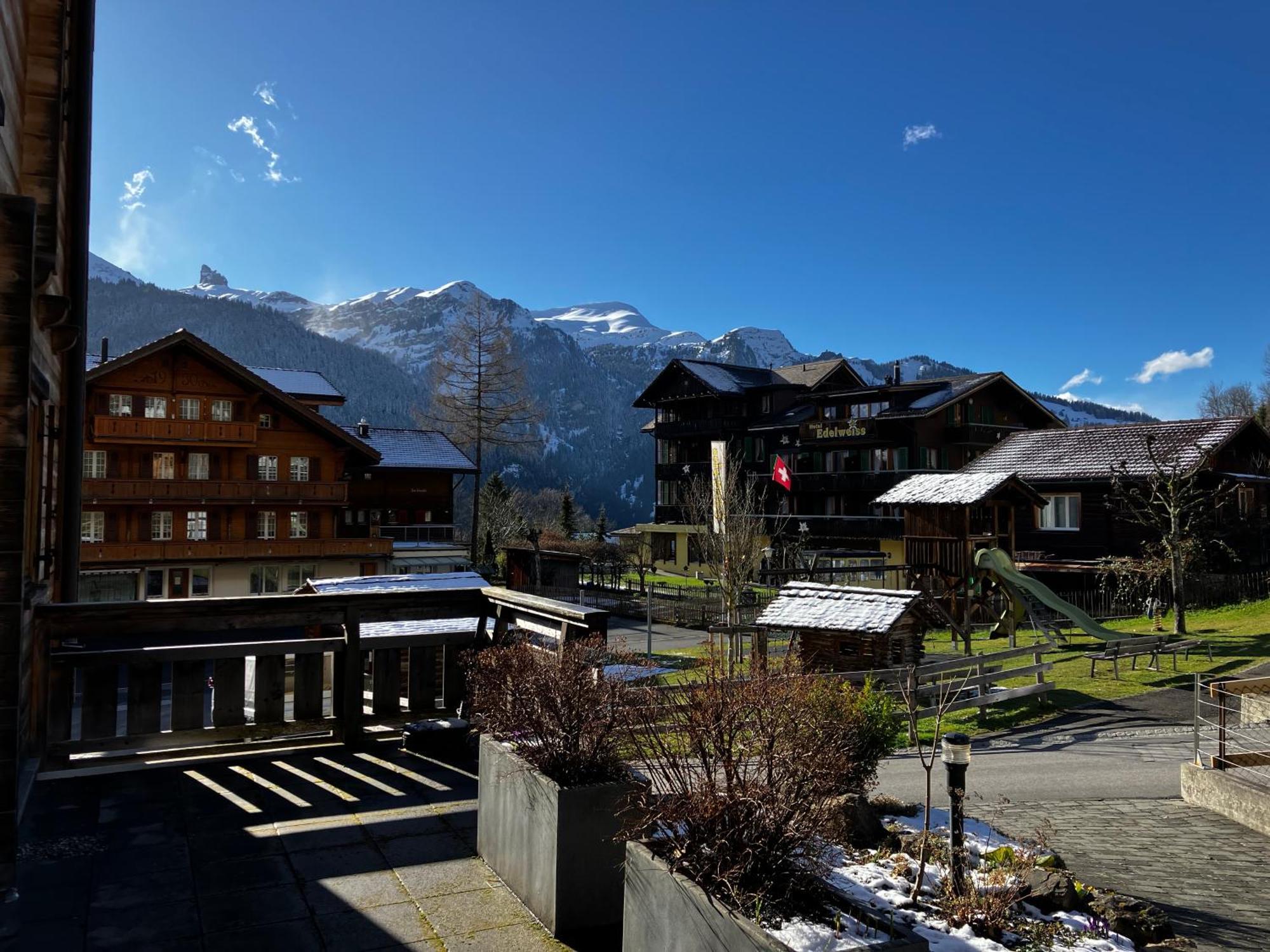 Chalet Alpina Gyger Wengen Dış mekan fotoğraf