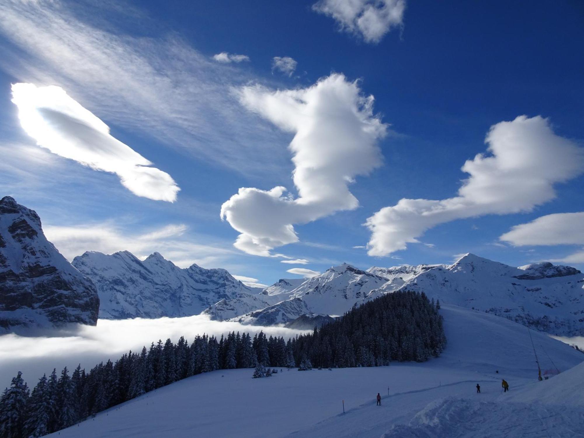 Chalet Alpina Gyger Wengen Dış mekan fotoğraf
