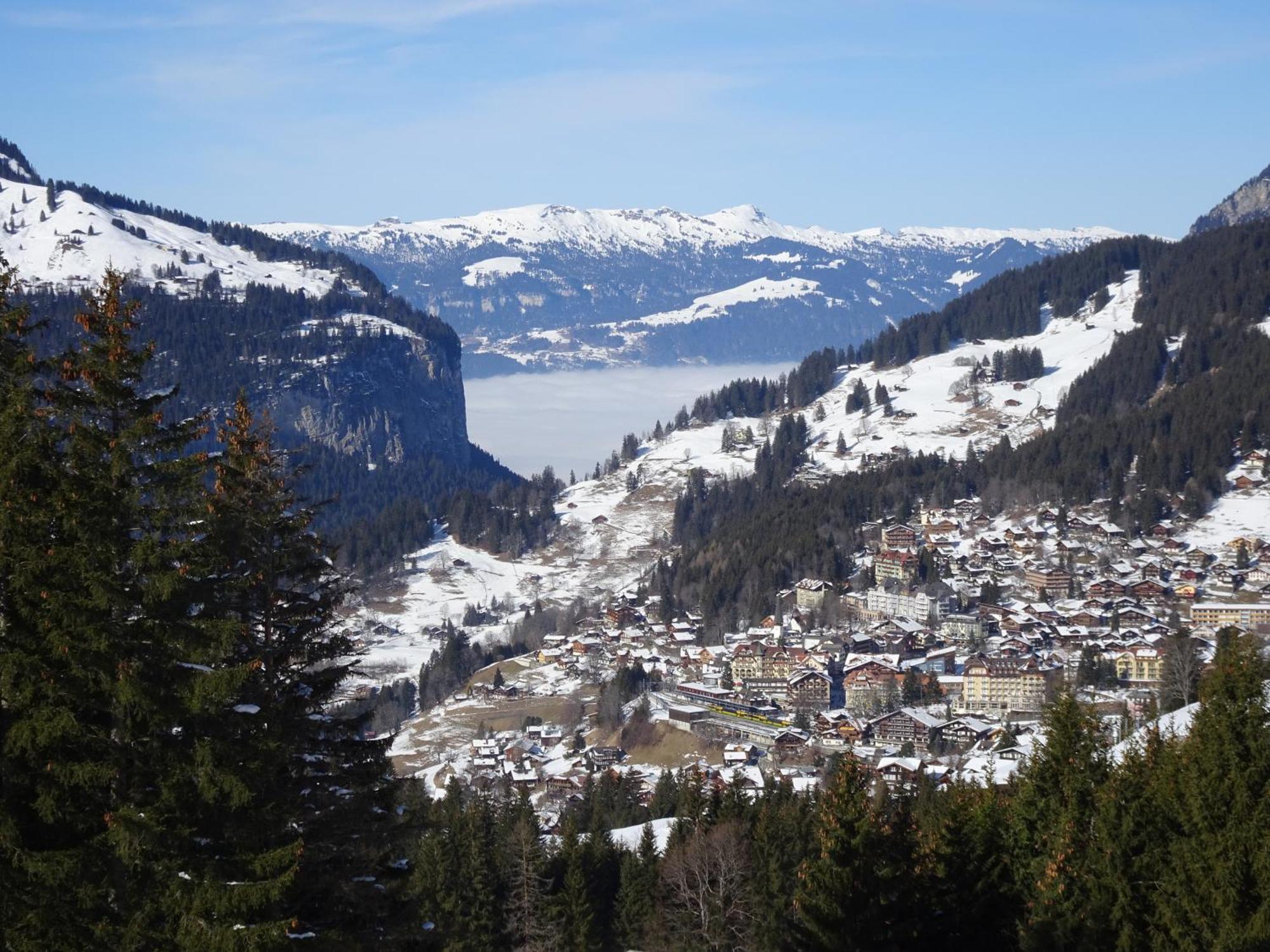 Chalet Alpina Gyger Wengen Dış mekan fotoğraf