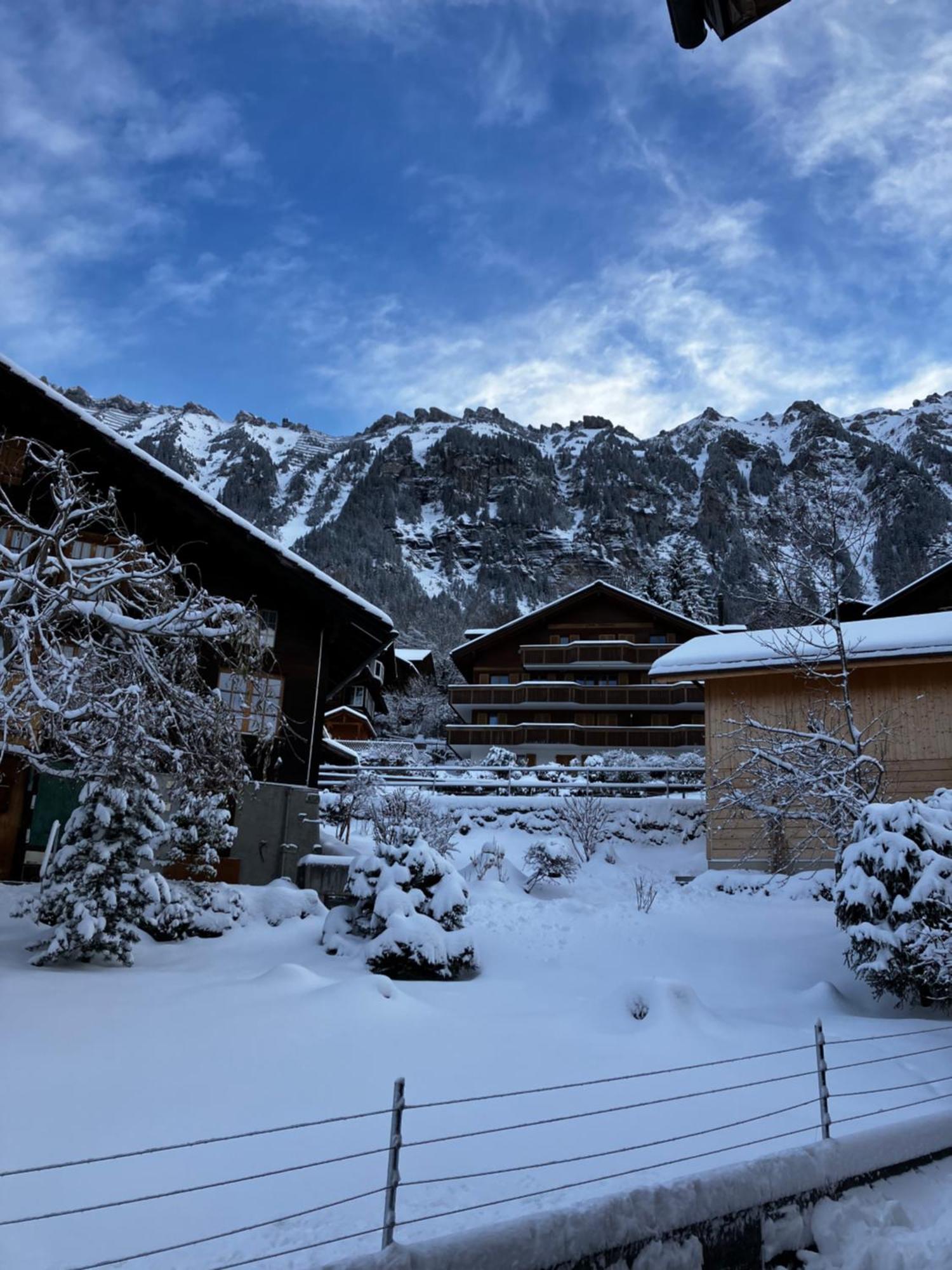 Chalet Alpina Gyger Wengen Dış mekan fotoğraf