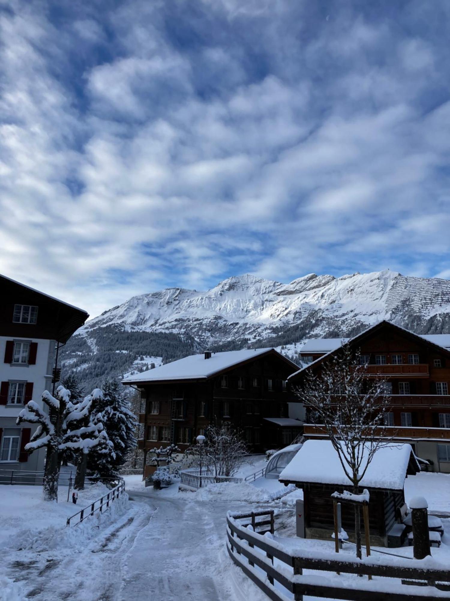 Chalet Alpina Gyger Wengen Dış mekan fotoğraf